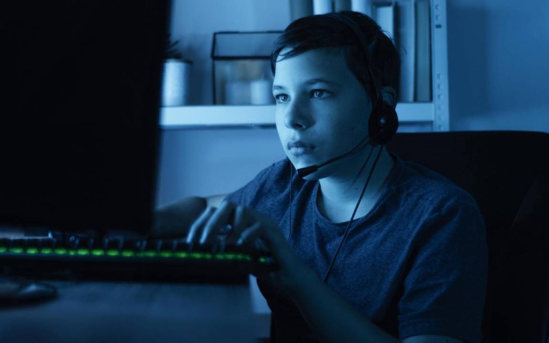 Seguridad en WordPress: Protege tu Sitio como Youtuber